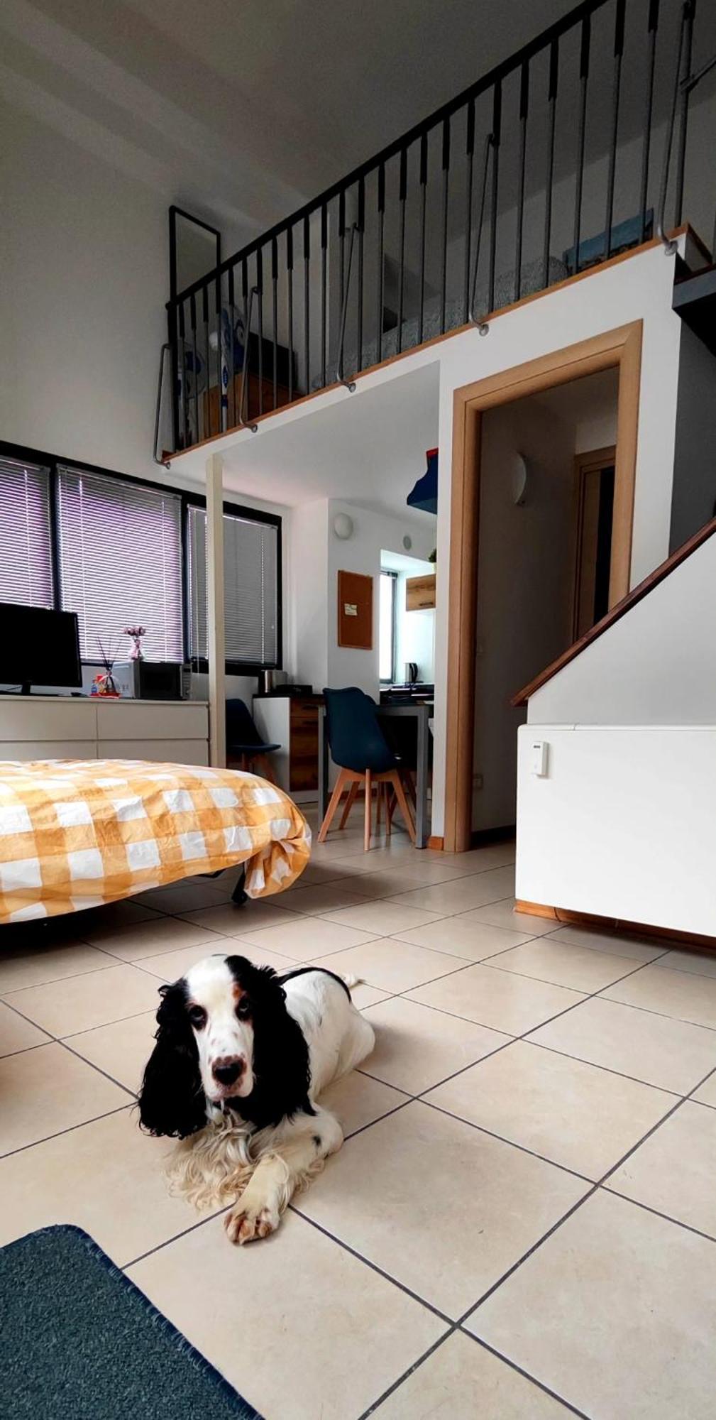 Gemme Fiorentine Apartments In Front Of The Train Station 5 Minutes From The Centre Free Parking Florence Exterior photo